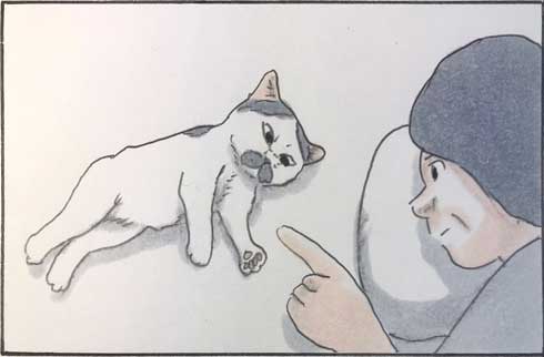 猫 漫画 拾い猫のモチャ 窓ごしの愛情 ツンデレ
