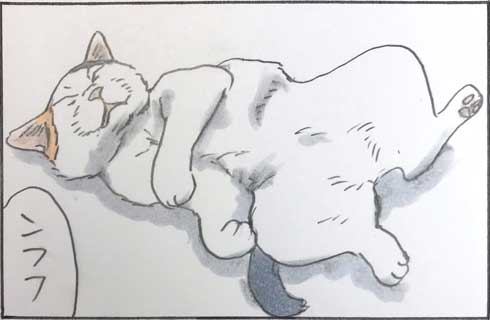 猫 漫画 拾い猫のモチャ 窓ごしの愛情 ツンデレ