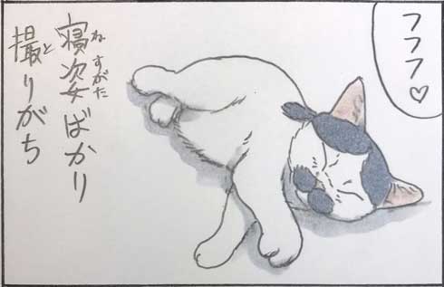 猫 漫画 拾い猫のモチャ 窓ごしの愛情 ツンデレ