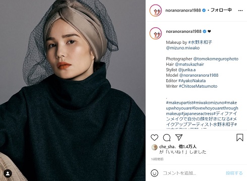 平野ノラ メイク 別人 水野未和子