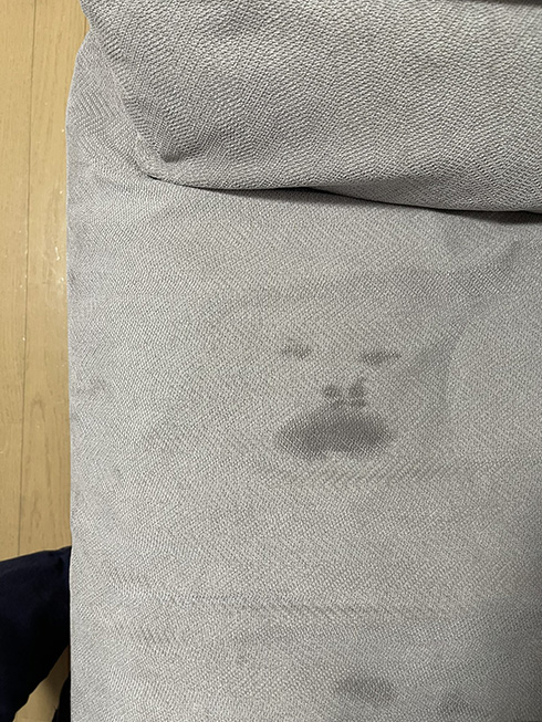 「ゼリーいらない！」→代わりに食べたら号泣　イヤイヤ期の2歳児が作った魚拓が立派すぎる