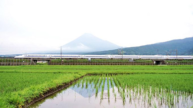 駅弁 新富士