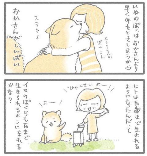 犬