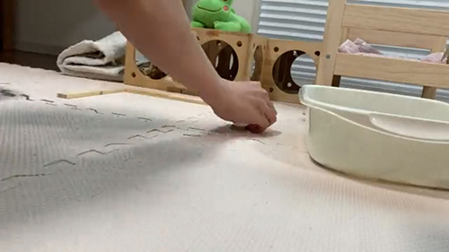 猫転送装置作成中