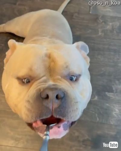 Nibbles on Some Watermelon