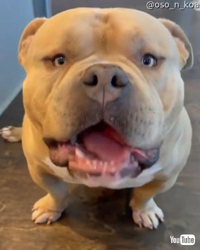 Nibbles on Some Watermelon