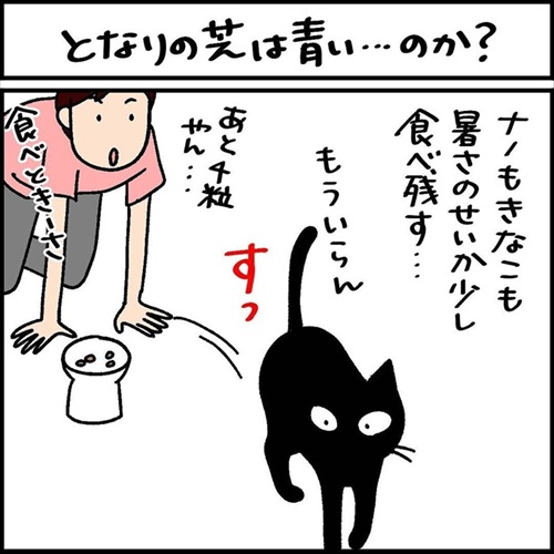 少しだけゴハンを残す猫ちゃん