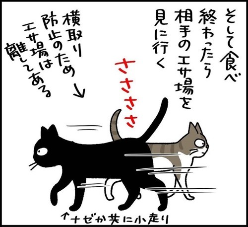 少しだけゴハンを残す猫ちゃん