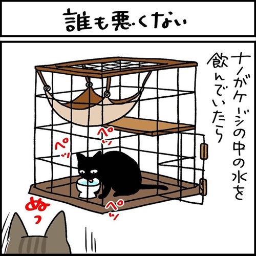 少しだけゴハンを残す猫ちゃん