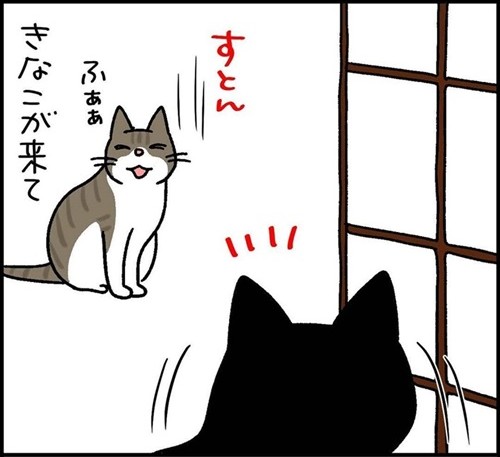 少しだけゴハンを残す猫ちゃん