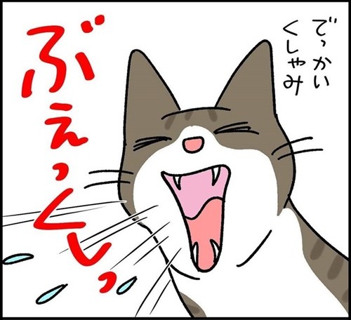 少しだけゴハンを残す猫ちゃん