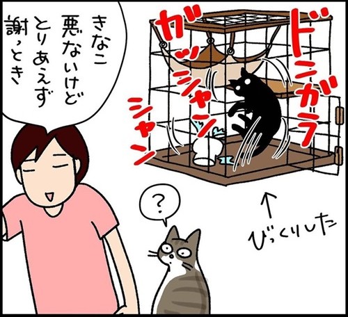 少しだけゴハンを残す猫ちゃん