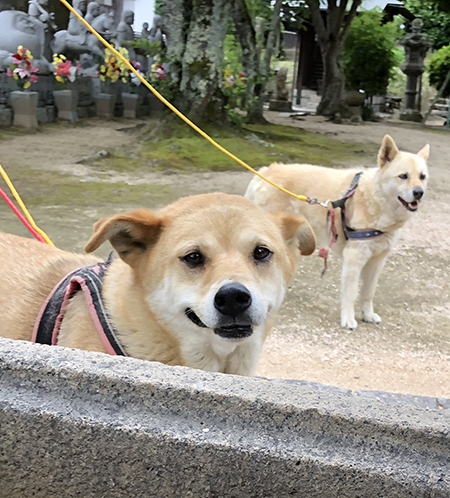 にっこりなむさん