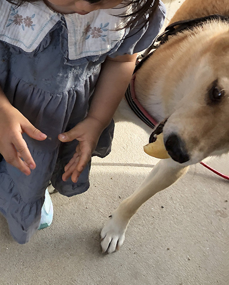 パン強奪なむさん