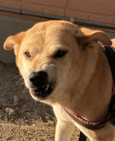 計画通りなむさん