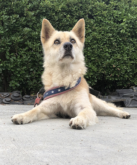 テトラポットこてつさん