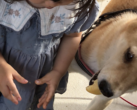 パン強奪なむさんトリミング
