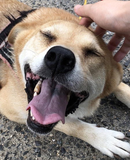 ハッピーなむさん