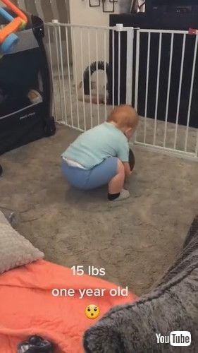 「Toddler Lifts Fifteen-Pound Heavy Medicine Ball by Himself - 1229660」