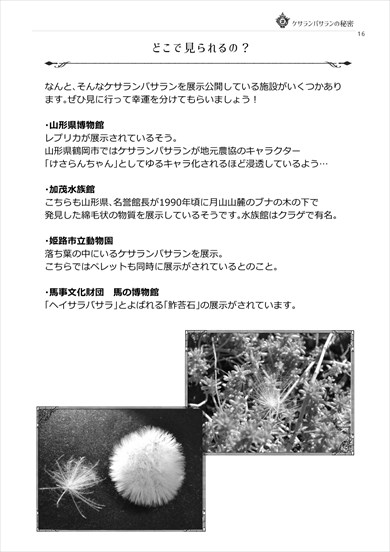 同人誌 図書館 司書