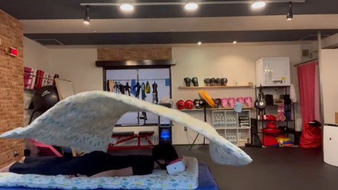 ムーンサルトプレス