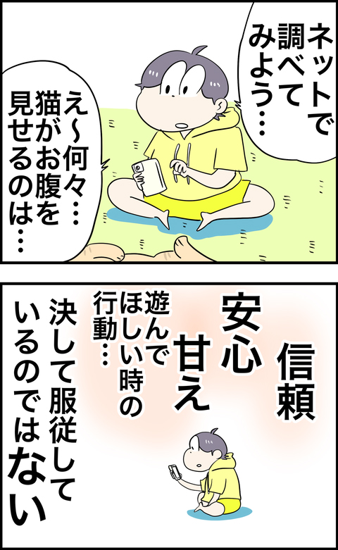 怒ろうとするとお腹見せてくる猫の日々3