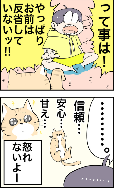 怒ろうとするとお腹見せてくる猫の日々4