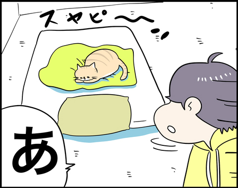 猫にチェックメイトされる日々切り抜き