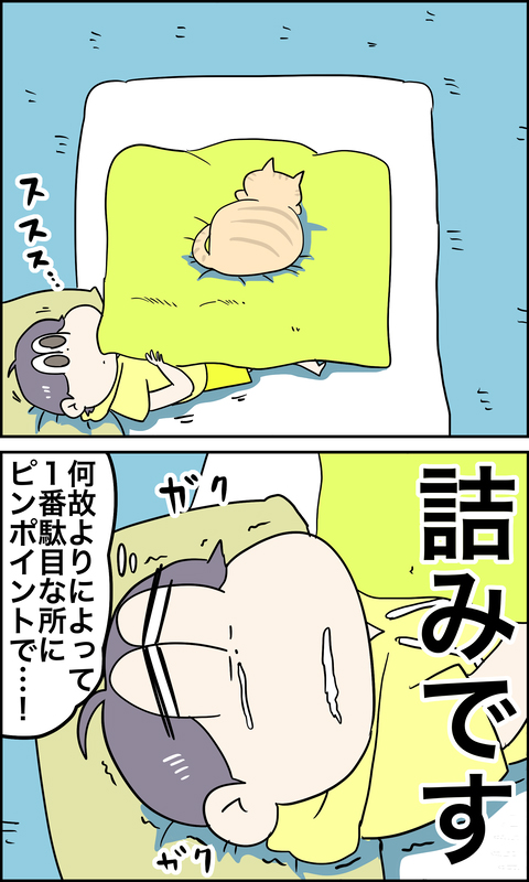 猫にチェックメイトされる日々3