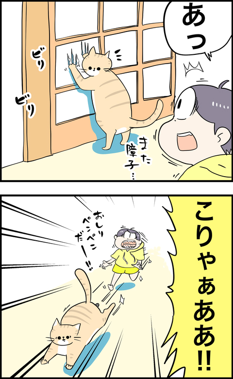 怒ろうとするとお腹見せてくる猫の日々1