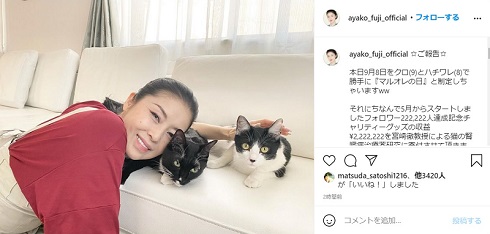 藤あやこ 猫 腎臓病 寄付 東京大学