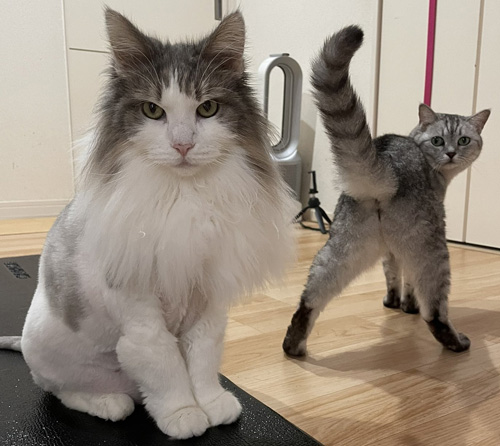 変な構図トリミング