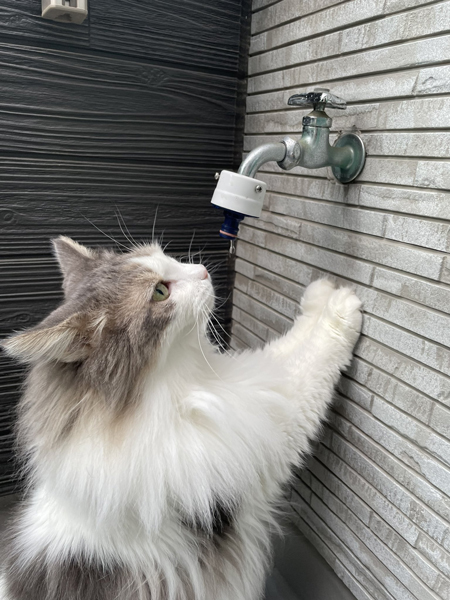 お水のみたいつくねくん