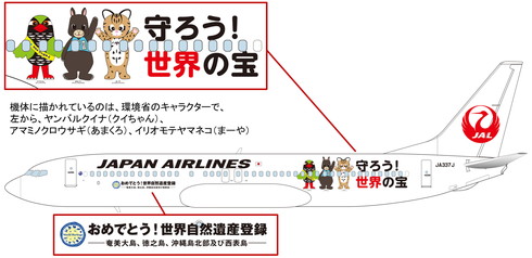JAL 特別塗装機