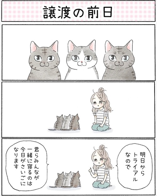 保護猫さんに語り掛けたこと
