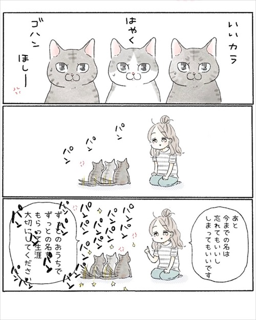 保護猫さんに語り掛けたこと