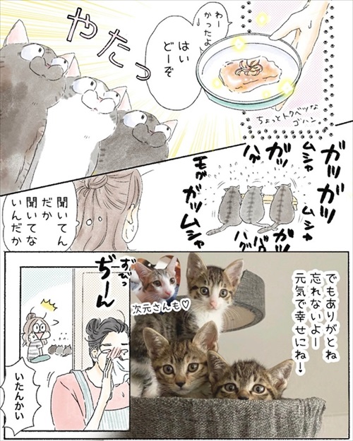 保護猫さんに語り掛けたこと