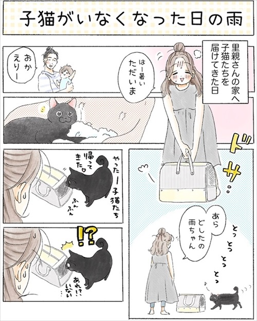 保護猫さんに語り掛けたこと