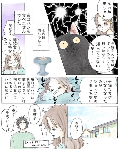 保護猫さんに語り掛けたこと
