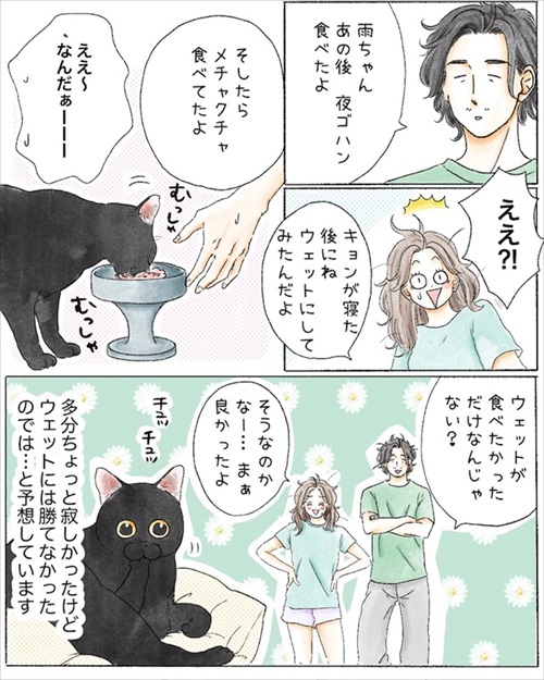 保護猫さんに語り掛けたこと