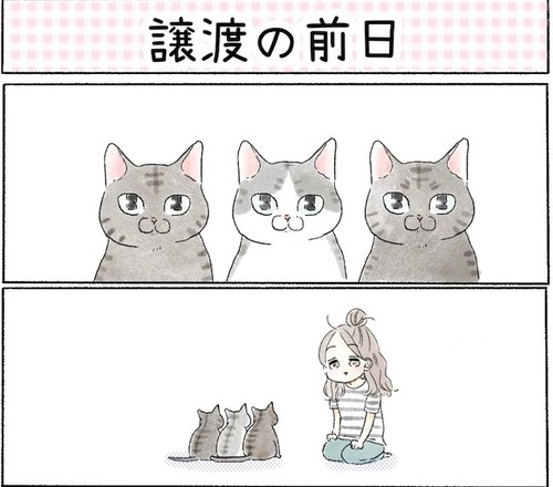 保護猫さんに語り掛けたこと