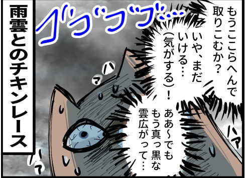 洗濯 ゲリラ豪雨 生乾き チキンレース 漫画
