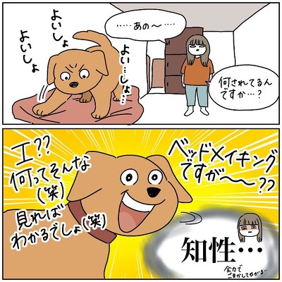 犬と人