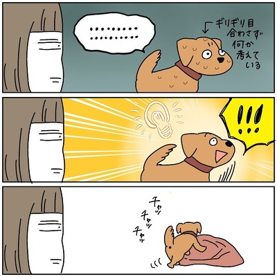 犬と人