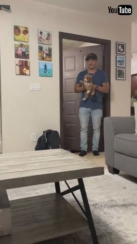 「Surprising Twins with A Puppy || ViralHog」