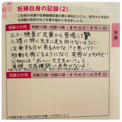 だいたひかる妊娠5カ月母子手帳不妊治療ブログ