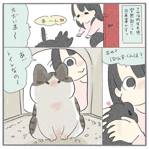 猫