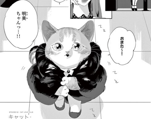 青化 ネオ・キャット シュークリーム キャット・ラブ・クラブ