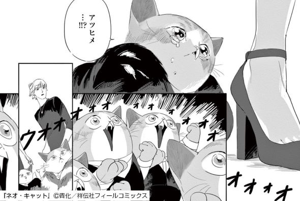 青化 ネオ・キャット シュークリーム キャット・ラブ・クラブ