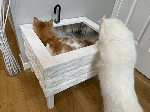 猫用シンク